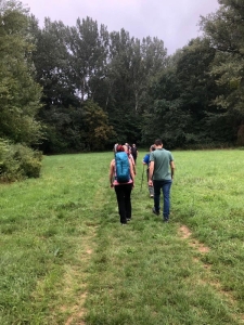 Bild_12.jpg Bild_12.jpg