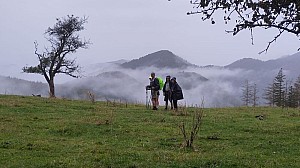 Bild_16.jpg Bild_16.jpg