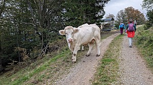 Bild_39.jpg Bild_39.jpg